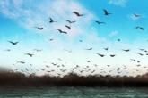 科技公司三个字起名 聚财的公司名字