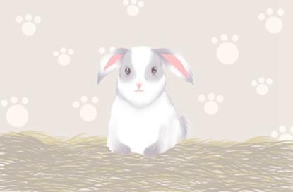 时装公司取名2021年 公司名字