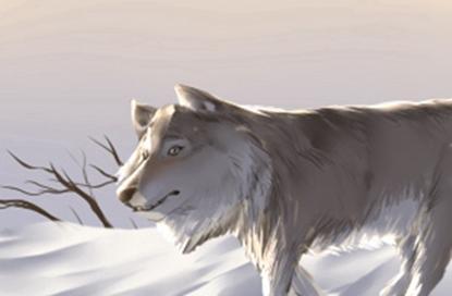 石化公司起名字 2021年的名字