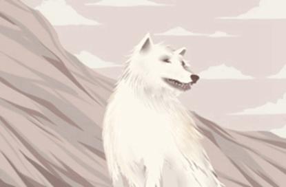 2021年唯美的公司名字 最好的公司名字