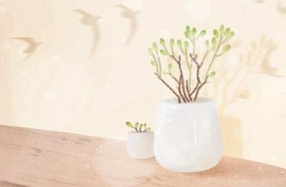 2021年建材公司的名字 创意的名字