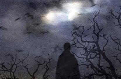 新公司名字大全2021年 洋气的名字