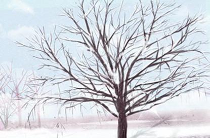 牛年公司名字 大气招财的名字