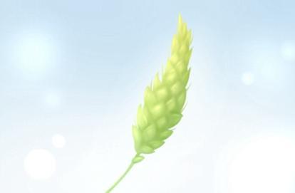 宝宝起名大全宝宝取名大全 宝宝怎样起名