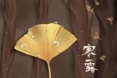 牛年公司名字大全 招财的公司名字