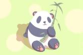 2022年出生的宝宝五行缺什么 属虎是什么命