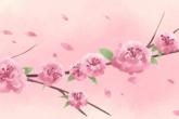 公司起名字化妆品公司 公司名字