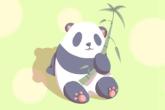 含璋字的男孩名字 璋字的含义是什么