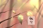 含流字的男孩名字 流字取名字
