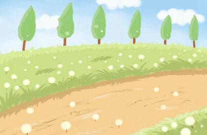 牛年运势2021年运势生肖猪 生肖猪在牛年的运势会怎么样