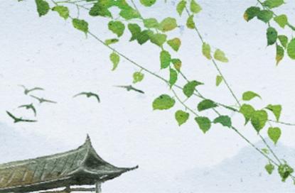 好听吉利的鱼店名字 大气有创意的名字