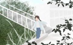 什么是民间文化