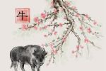 2022年感情必复合的生肖有谁 生肖牛