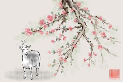 属羊女最怕出生几月 八月出生命运坎坷