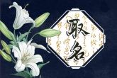带旺的店名大全 带旺的名字好听的