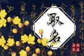 西宁公司起名文化传播公司 公司起好名字