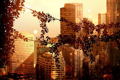 服装店名好听又招财 招财的服装店名大全