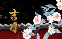2021年11月14日黄道吉日查询 是好日子么