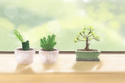 12月上旬 桃花高涨 爱情运势飙升 遇见良缘佳偶的星座