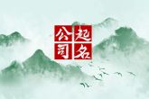 企业取名字大全4个字 意指公司熠熠生辉