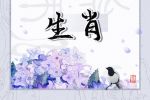 容易生龙凤胎的生肖女 生肖猪的女生儿女双全