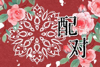 95属猪男和99属兔女相配吗 天造地设欢喜冤家