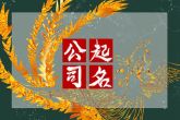 艺术品公司起名参考 艺术的公司名字大全