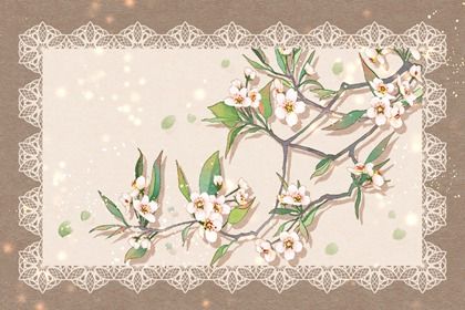 蛋糕店面取名 朗朗上口的蛋糕店名字