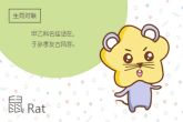 属鼠2022年生虎宝宝好吗 是天降福星