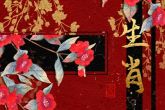 二胎生肖有没有冲的说法 一胎与二胎相冲的情况分析