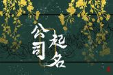 公司取什么名字简单又大方 暗喻公司潜力无限