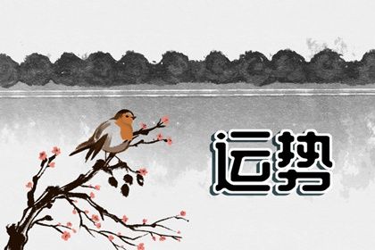 十一月爱情运势最好的星座 提升魅力爱情运势旺盛