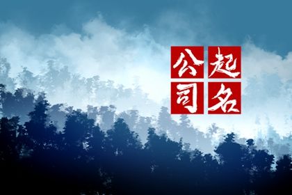 起一个商贸公司名字 预示公司前途光明