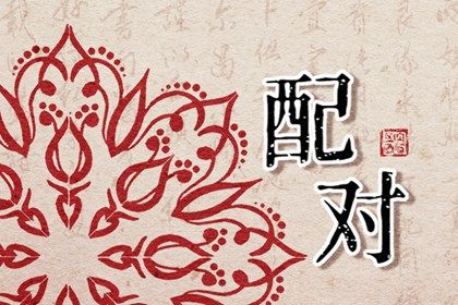 82年狗和92年猴相配婚姻如何 相互欣赏夫唱妇随