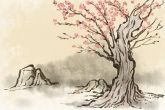 软件工程公司起名大全 寓意公司名利双丰