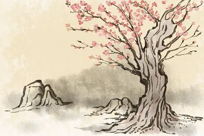 软件工程公司起名大全 寓意公司名利双丰