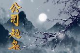 科技公司取什么名字好 吉祥繁盛的公司名字