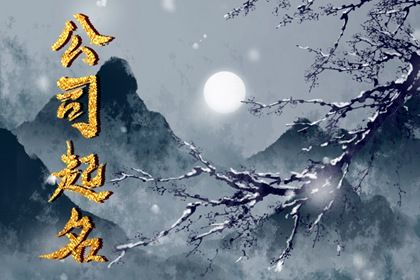 科技公司取什么名字好 吉祥繁盛的公司名字