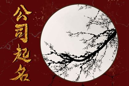 二手车公司取名字 创意的公司名字大全