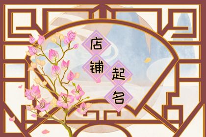 比较好的数码店名字 寓意好的店铺名字