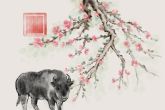男孩儿属虎好还是属牛好 属牛能给家里带来福气