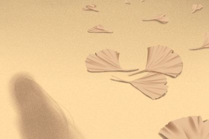 家居店起名 有创造力的店铺名字