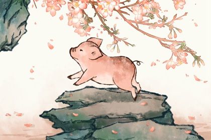 虎宝宝适合什么生肖父母 寅虎与亥猪六合