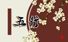 生辰五行查询看五行缺什么 查五行缺失的步骤