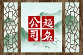 带伟字公司起名大全 比较大气的公司名