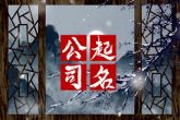 有创意的塑胶贸易公司名字 寓意公司马到功成