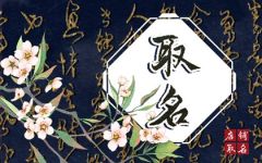 小面店取名 好听有特色的面店名字