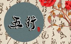 免费测试自己五行缺什么 如何判断五行是否缺失