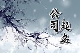 文化传播公司起名字鉴赏 意指公司吉祥昌隆