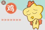 财运极佳的3大生肖女 精明果断有胆有谋